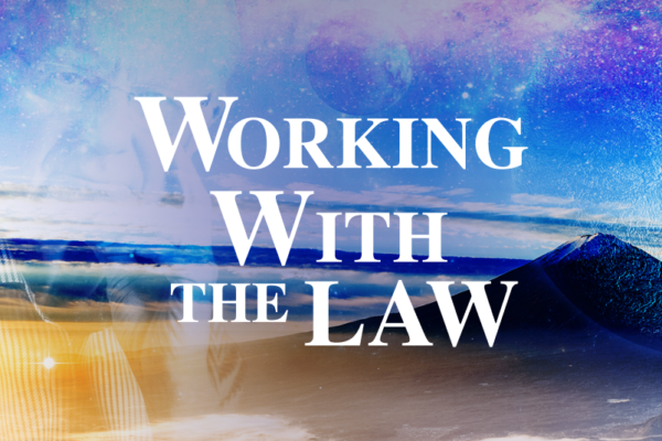 Working With the Law